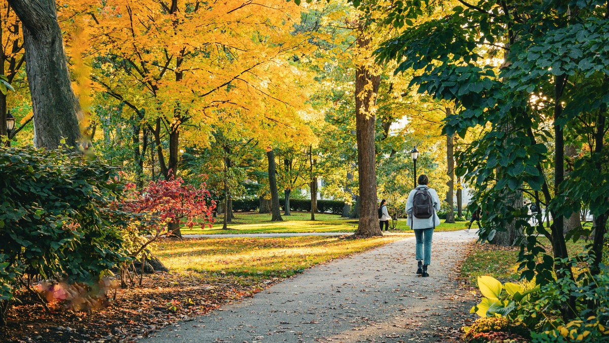 Person walking alone on a path through an autumn park