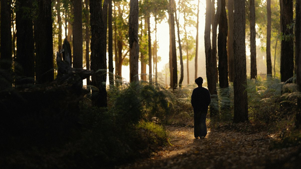 Person walking alone on a forest path toward soft light