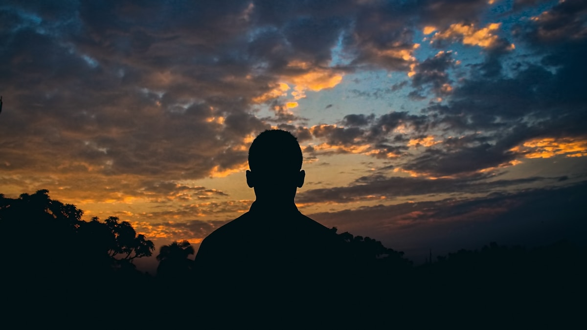 Silhouette of people during sunset